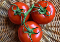 Domates depresyona çözüm olur mu? Sevmeyen bile yemek isteyecek