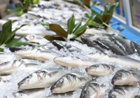 Sağlığa en faydalı balıklar ortaya çıktı: 1 tanesini kimse bilmiyor