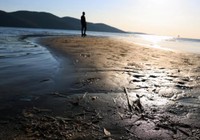 Muğla'da deniz suyu 12 metre çekildi