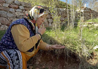 Türbenin toprağını yiyerek dua ediyorlar