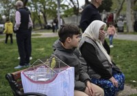 İşte Türkiye’de deprem riski en az olan 20 kent; AFAD ve MTA verileri çok çarpıcı