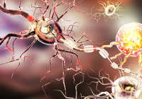 Yeni bir mikrop türü keşfedildi