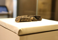 Eskişehir'de bulunan 5 bin yıllık ekmek tanıtıldı