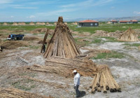 Hasadı başladı: Hollanda ve İngiltere’den sipariş yağıyor