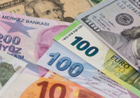 Yeni zirveyi gördü: Euro'dan tarihi rekor