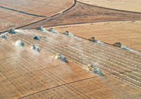 Türkiye'nin 'dev işletmesi'nde buğday hasadı: 184 biçerdöver görevde