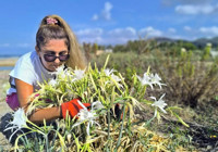Antalya'da çıkmaya başladı: Koparmanın cezası 387 bin lira