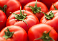 Domates alırken dikkat! Bu işaretler varsa geri bırakın!