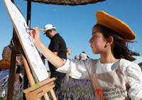 Konya'da Karatay Lavanta Festivali
