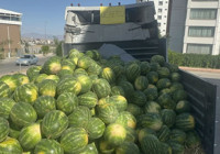 Elazığ'da 30 ton karpuz, vatandaşa ücretsiz dağıtıldı