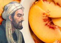 1000 yıllık sır: İbn-i Sina’nın şifa formülü ortaya çıktı!