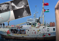 Hanzalaya baskın! İsrail askerleri gemiyi alıkoydu