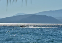 Türkiye'nin Cittaslow 3 şehri