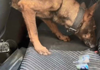 Eskişehir’de durdurulan otomobilde 1 kilo kokain ele geçirildi