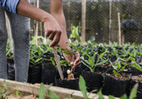 Genç çiftçiye büyük teşvik: Bedelsiz arazi, düşük faizli kredi ve konut desteği geliyor