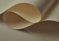 Yıllık 30 bin ton üretim yapıyordu... Türkiye'nin kağıt devi iflasın eşiğinde