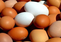 Yumurta fiyatları yükseldi!