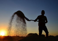 81 ilde çiftçilere zorunlu oldu! Yapmayan devletten destek alamayacak