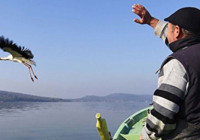 Bu yıl Eylül’ü beklemeden Afrika'ya doğru gitti! Yaren leylek herkesi şaşırttı