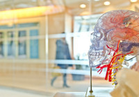 Stanford’dan devrim niteliğinde buluş! Sadece düşünerek iletişim kurmak artık mümkün olabilir