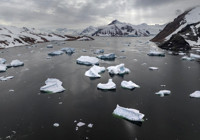 Antarktika’da cinsel şiddet skandalı: Gizli anket ortaya çıkardı