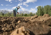 Çiftçilerin hesaplarına 4,5 milyar TL aktarılacak