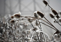 Ilgaz Dağı beyaza büründü, ortaya kartpostallık görüntüler çıktı