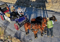 Almanya’dan Kudüs'e faytonla barış yolculuğu