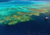 Pasifik Okyanusu kaynıyor: Bilimin açıklayamadığı rekor sıcaklık