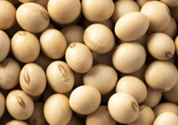 Çin'den ABD'ye soya fasulyesi tepkisi... 8 yıl sonra bir ilk