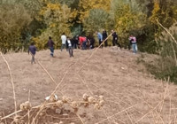 Diyarbakır'da, ağaçlık alanda erkek cesedi bulundu