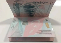 Türkler artık Karadağ'a gitmek için vize almak zorunda