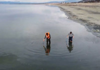 Korkutan uyarı geldi: Her geçen gün küçülüyor...