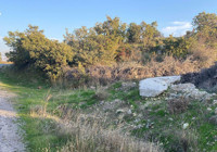 Çanakkale’de boş arazide bebek cesedi bulundu