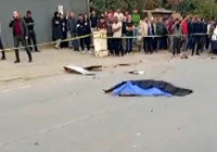 Otomobilin çarptığı Güney, hayatını kaybetti