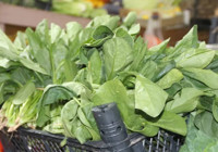 Ispanak sanıp yediler, tek tek fenalaştılar: 11 kişi hastanelik oldu, birinin durumu ağır