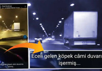 Tahliye olunca WhatsApp'tan tehdit etti yine tutuklandı: "İsrail'i kastetmiştim"