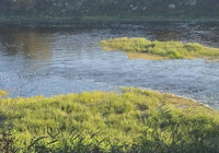 Dere kenarında acı oyun: 10 yaşındaki Hızır Ali hayatını kaybetti