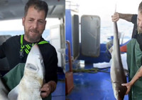 Balıkçı, ağına takılan camgöz köpek balığını yeniden suya bıraktı