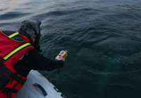 Halk günlerdir göldeki bu görüntüyü konuşuyordu! Nedeni belli oldu