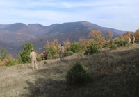 Çankırı'da kaybolan yaşlı kadının cansız bedeni bulundu