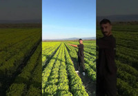 "Satarsam şerefsizim" diyen İzmirli çiftçiye büyük şok! İsyanı pahalıya patladı