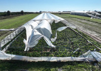 Antalya'da çıkan hortum seralara zarar verdi