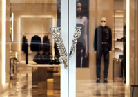 Prada Versace'yi satın alıyor! 1,5 milyar dolarlık anlaşma