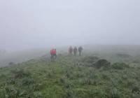 Günlerdir her yerde aranıyor! Bütün ekipler seferber oldu