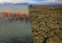 Sapanca Gölü alarm veriyor!