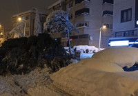 Çam ağacı park halindeki iki aracın üzerine devrildi