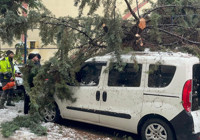 Kökünden sökülen ağaç park halindeki aracın üzerine devrildi