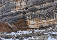 Bin 600 rakımda sürülerin yolculuğu kamerada