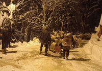 Giresun’da çığ: 1 ölü